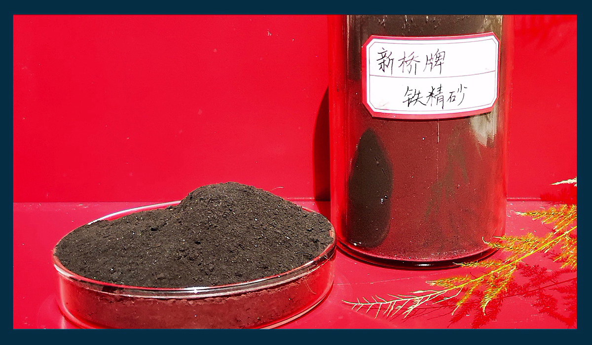 首页- F66永乐国际集团官方网站