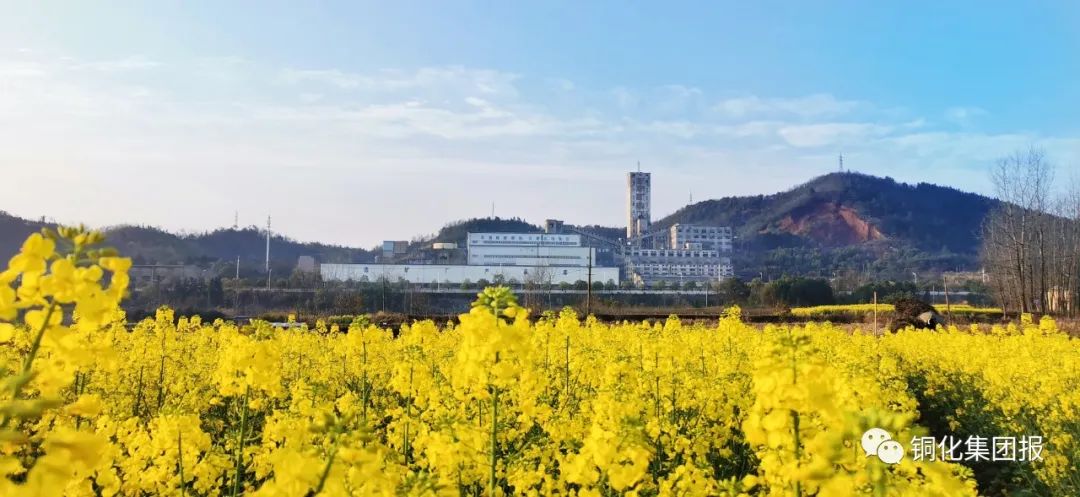 首页- F66永乐国际集团官方网站