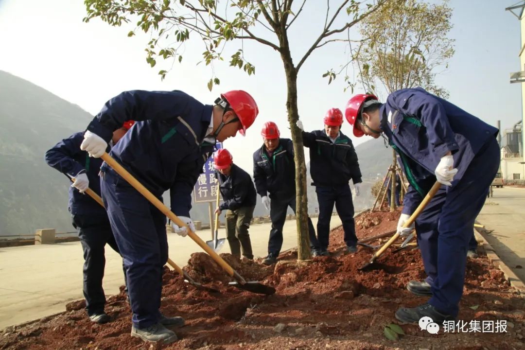 首页- F66永乐国际集团官方网站