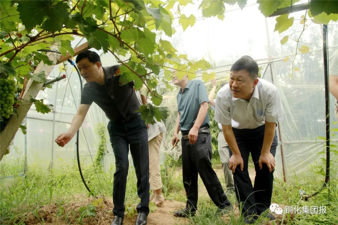 首页- F66永乐国际集团官方网站