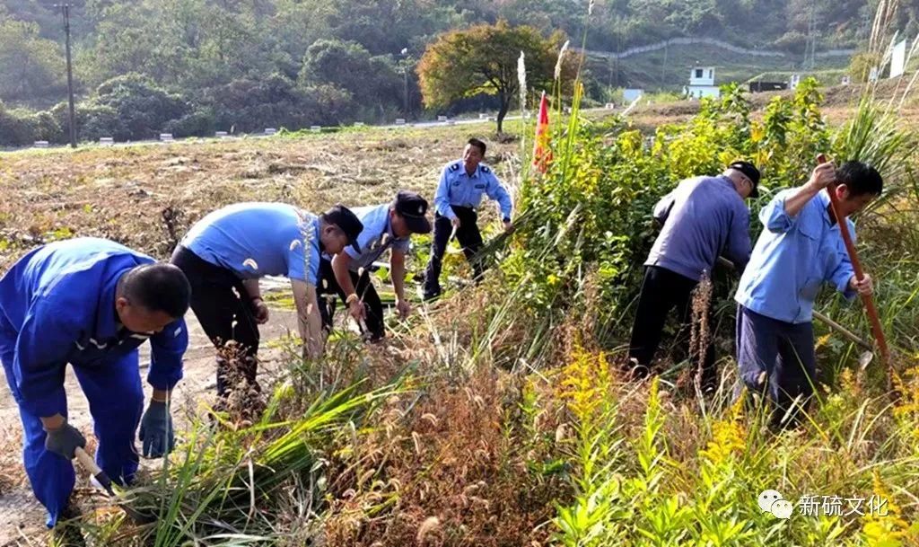 首页- F66永乐国际集团官方网站