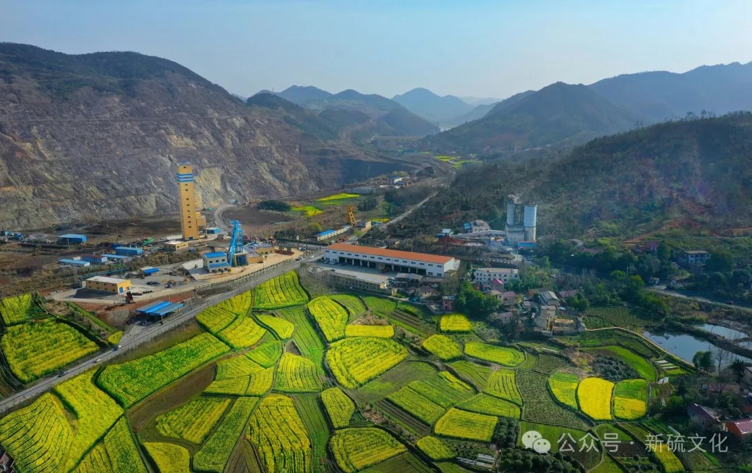 首页- F66永乐国际集团官方网站