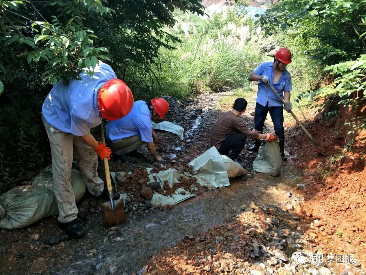 首页- F66永乐国际集团官方网站