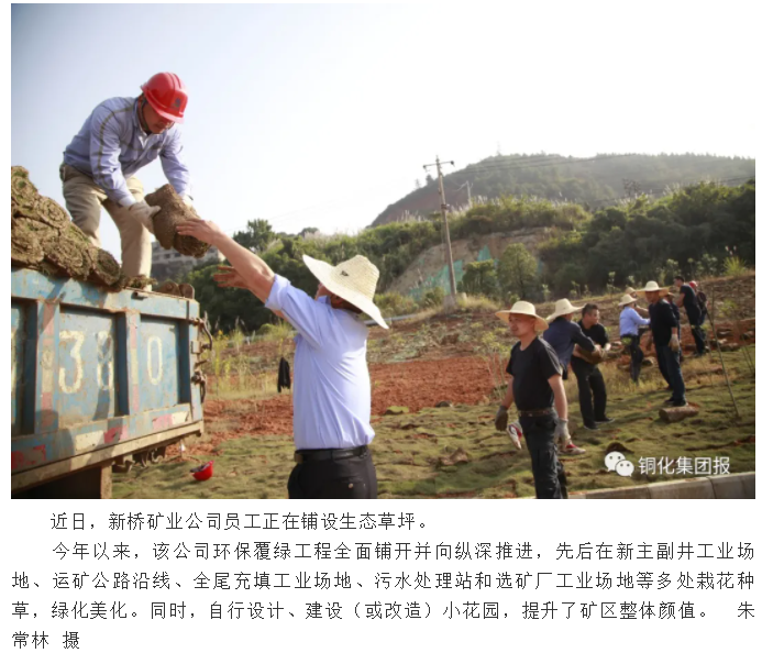 首页- F66永乐国际集团官方网站